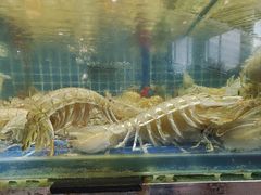 -柒柒海里·平价海鲜·蒸汽·家宴(金沙滩店)