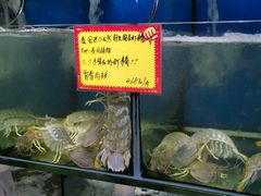 水产区-蚝专家(北滘店)