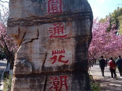 -昆明动物园