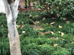 -西湖外事游船(湖滨二公园外事游船码头)