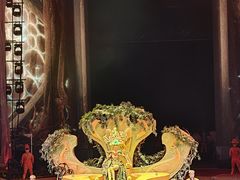-广州长隆国际大马戏