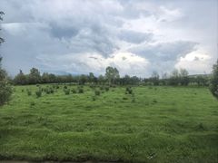 -新疆那拉提国家旅游度假区