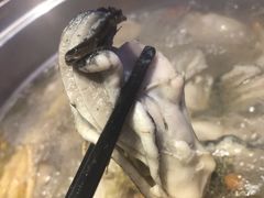 高压锅生蚝中一打-千岛蚝高压锅生蚝·人参火锅(白云万达店)