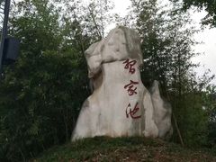 -习家池