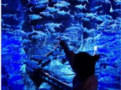 -波塞冬旅游度假区