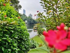 -晓港公园