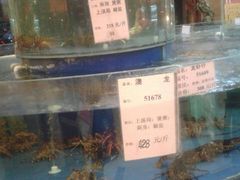 -友鹏海鲜(新宜白大道店)