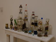 -旧金山现代艺术博物馆