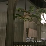 好喜欢小企鹅，吃起来就像花枝丸的味道