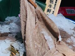 -九鼎轩脆毛肚火锅(三钢里店)