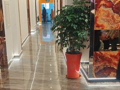 -船泊丽港(统一路店)