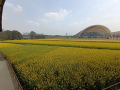 -中国天府农业博览园