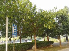 -中国杭州低碳科技馆