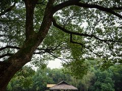-兰亭风景区
