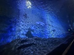 -厦门海底世界