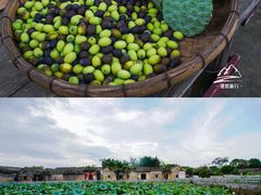 -苏家围·东江画廊旅游景区