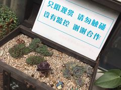 -漫渡庄绿岛花园•隐世庭园菜(滨湖店)