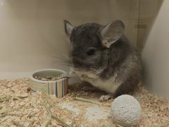 -龙猫仔乐园(惠福东路店)