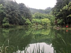 -缙云山景区