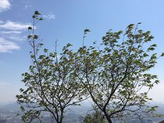 -广州市白云山风景名胜区
