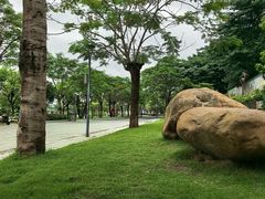 -王借岗森林公园