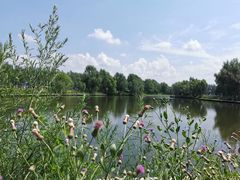 -白渔泡湿地公园