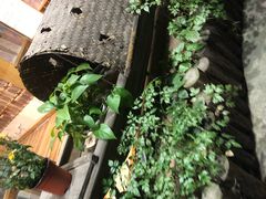 -猫的天空之城概念书店(杭州南宋御街店)