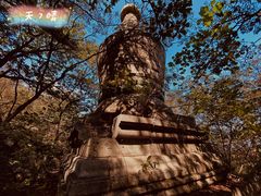 -阳台山自然风景区