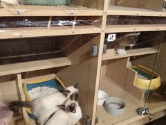 -大型宠物商超·宠海王国·宠物猫狗活体·用品·美容(新世界百货重庆店)