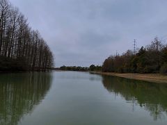 -上海海湾国家森林公园