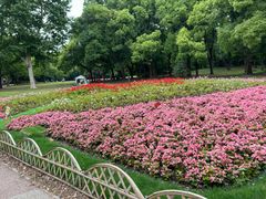 -上海共青森林公园