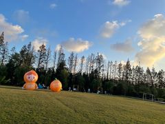 -前小桔亲子创意农场·草莓采摘·露营烧烤