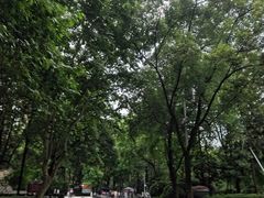 -绵阳人民公园(涪城区)