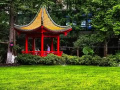 -复旦大学附属中山医院(西院区)