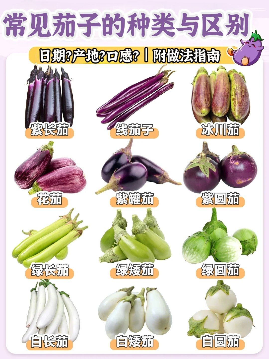 常见茄子的种类与区别,建议收藏!
