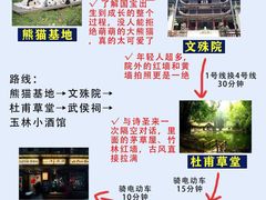 -成都大熊猫繁育研究基地