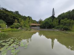 -云溪植物园