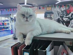 -M.S拳击泰拳馆(大学路店)