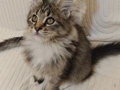 -宁波杉井奥特莱斯广场