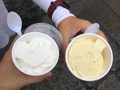 -洪馨椰子