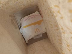 -麦当劳(塔园路店)