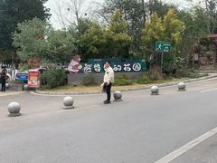 -六出私塾LiuChu•成人美术书法系统课程专业画室(熊婆婆的花园店)