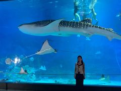 -烟台海昌鲸鲨海洋公园