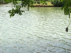 -宜兴龙背山森林公园