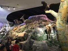 -陕西自然博物馆