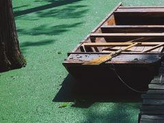 -渌洋湖湿地公园