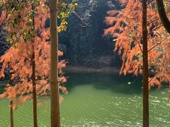 -广州市白云山风景名胜区