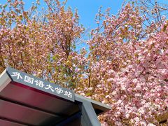 -天津五大道文化旅游区