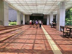 -香港大学