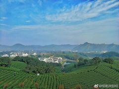 -帐篷客·溪龙茶谷度假酒店